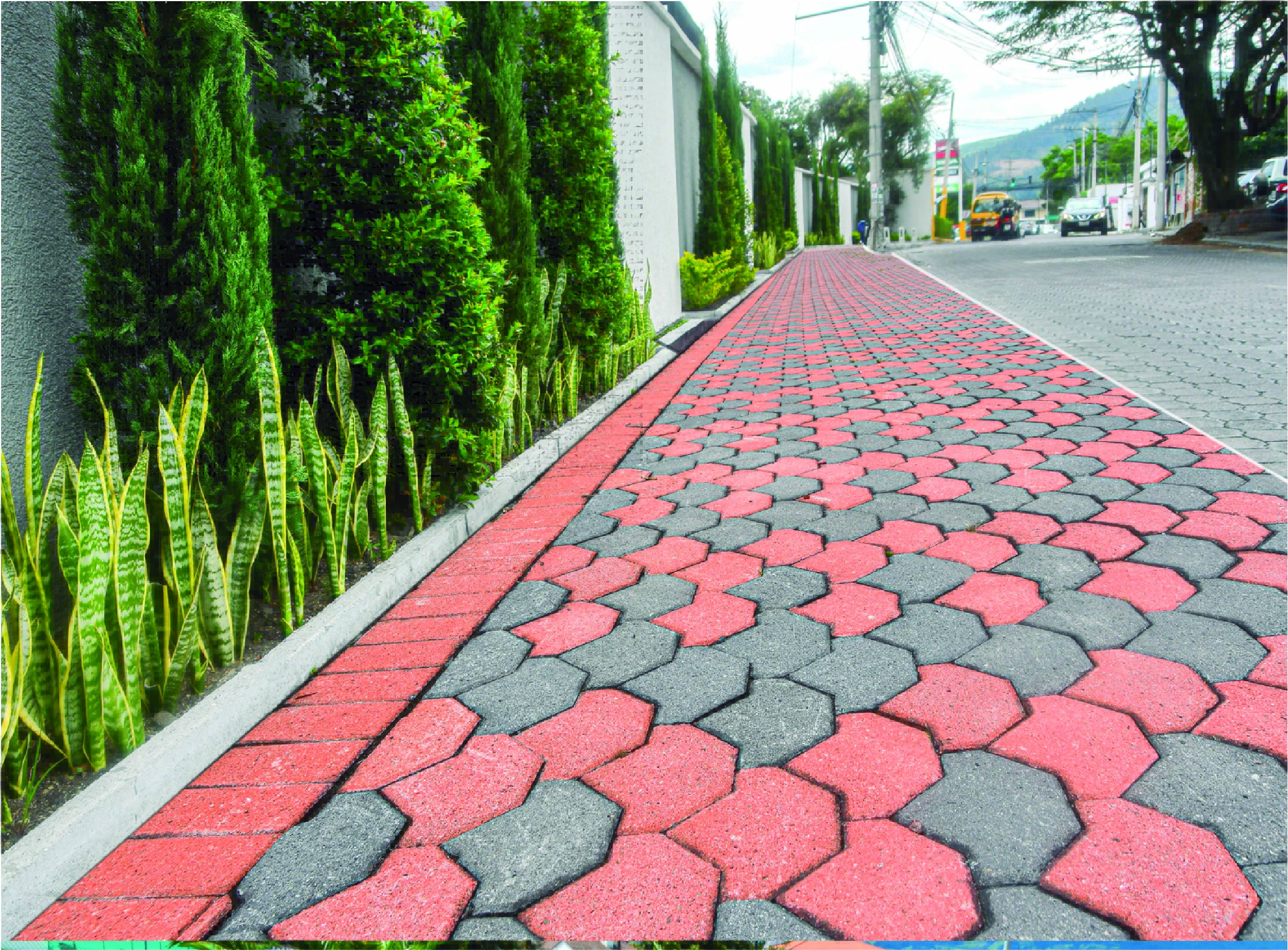 Adoquín Curiquingue