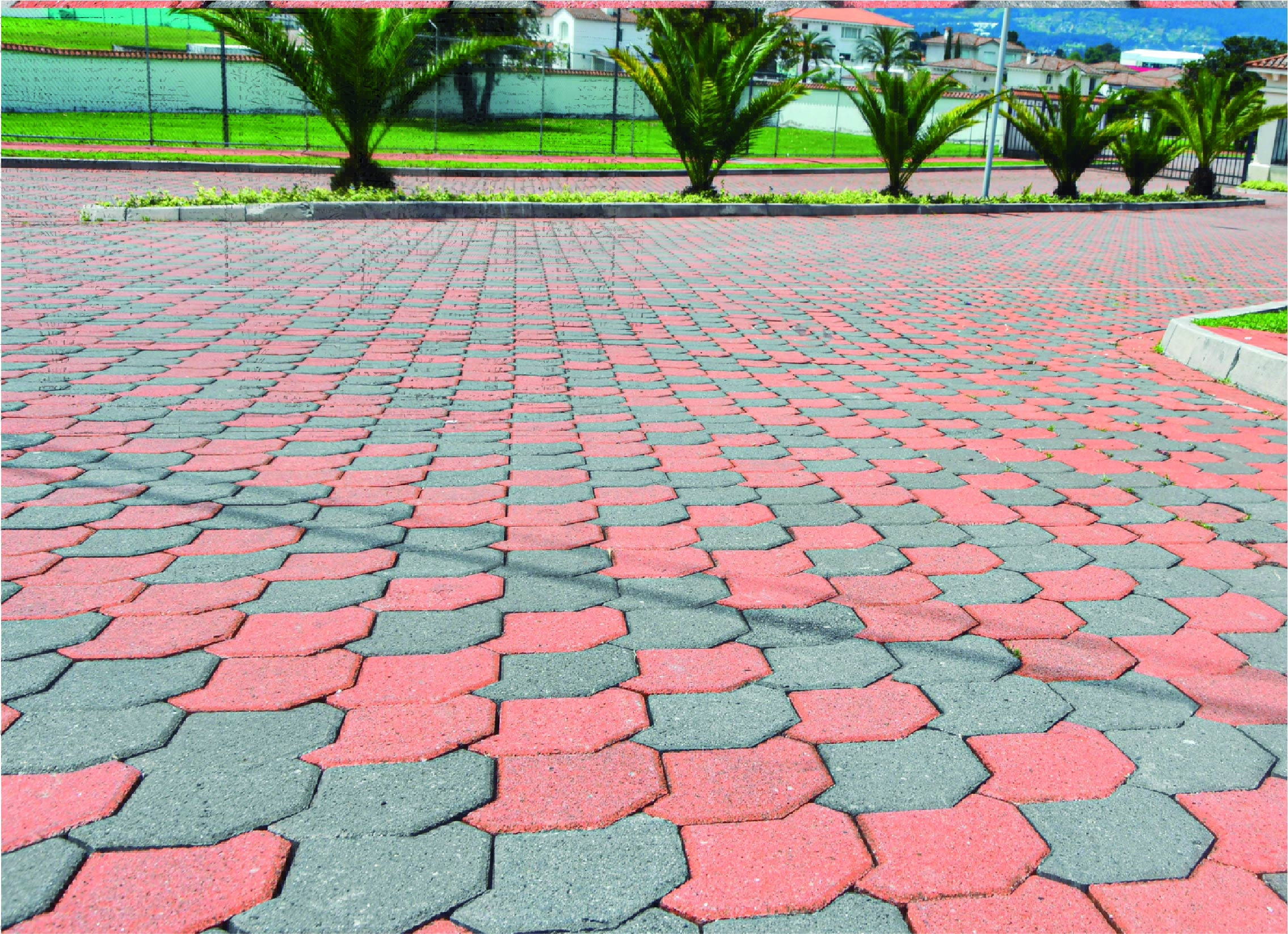 Adoquín Curiquingue