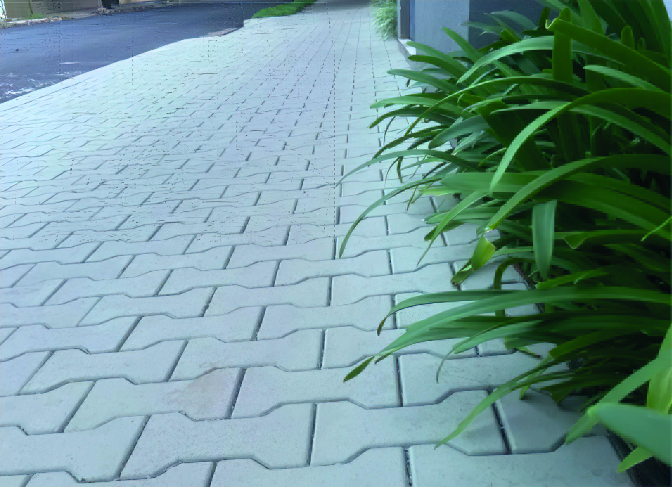 Adoquín Inca Adoquín Inca